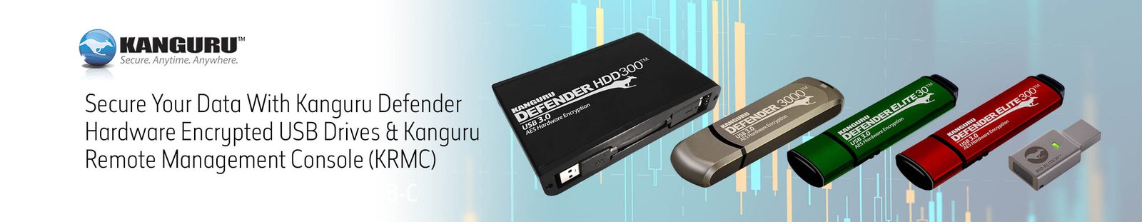 New-Slim-Banner-Kanguru-usb-lineup